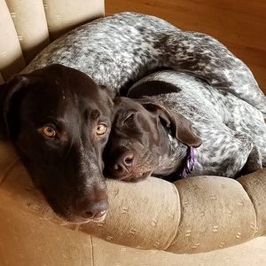 Meet your Posher, Dani